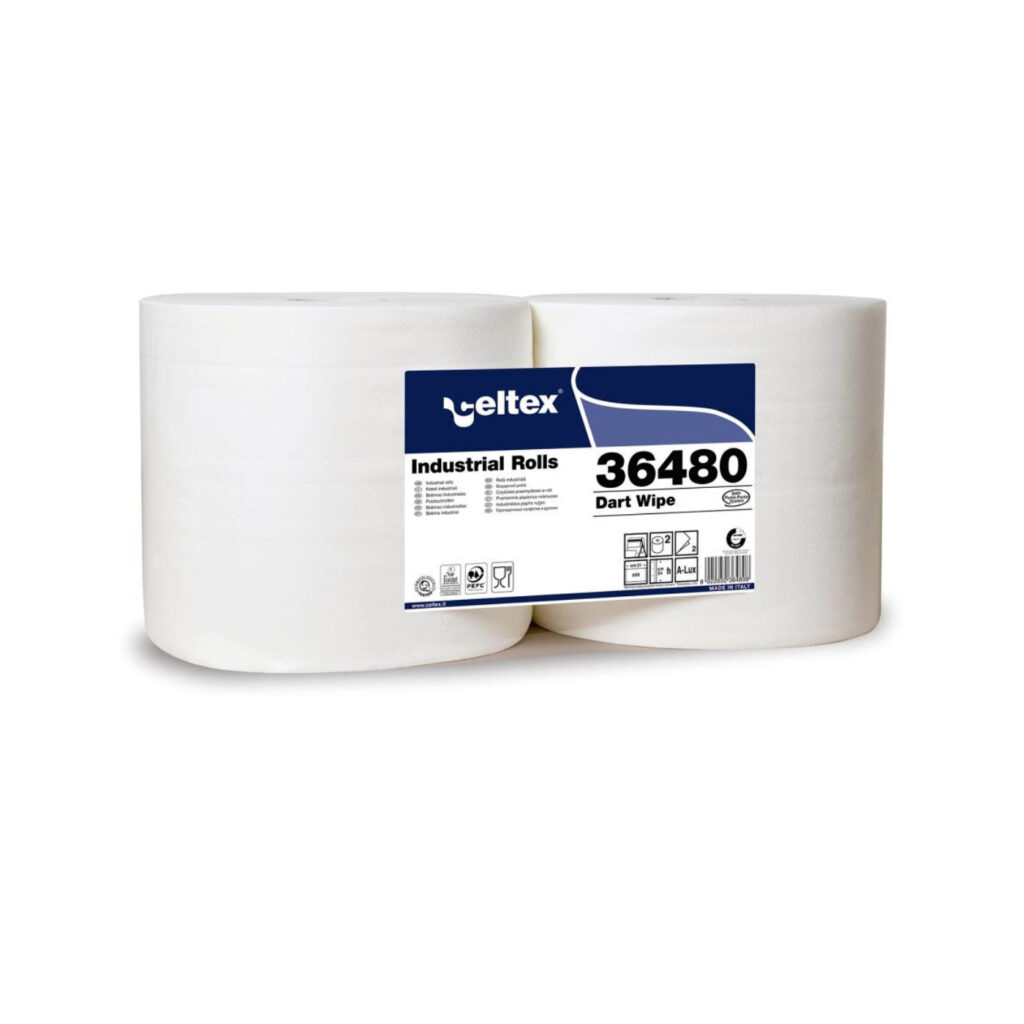 coppia rotoloni carta asciugamani